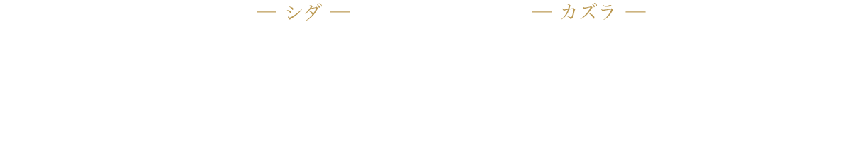 シダ / 小林竜之 | カズラ / 福島海太 | 今井 稜 | 辻 大樹 | 木村充希 | 逢坂 空 | 尾関晃輔